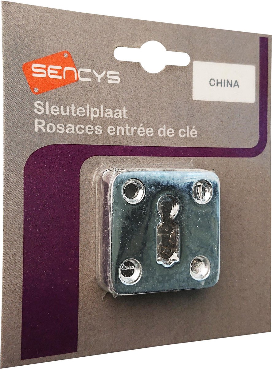 SENCYS type China set 2x sleutelplaat vierkant model | CHROOM