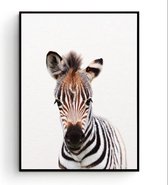 Postercity - Design Canvas Poster Baby Zebra / Kinderkamer / Dieren Poster / Babykamer - Kinderposter / Babyshower Cadeau / Muurdecoratie / 40 x 30cm / A3