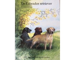 De Labrador Retriever