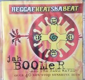 Reggae Heat Ska Beat