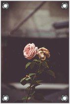 Tuinposter –Roze Roos– 60x90cm Foto op Tuinposter (wanddecoratie voor buiten en binnen)