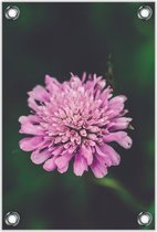 Tuinposter –Roze Bloem– 60x90cm Foto op Tuinposter (wanddecoratie voor buiten en binnen)