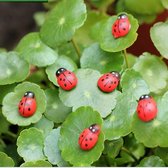 100 Stuks Leuke Multicolor Lieveheersbeestjes - Decoratie - Knutselen - Miniatuur