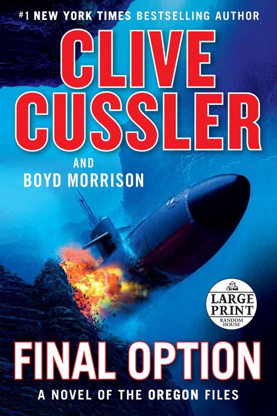 Final Option - cover
