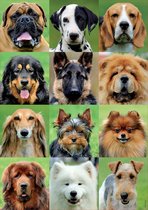 Educa collage van honden puzzel 500 stukjes