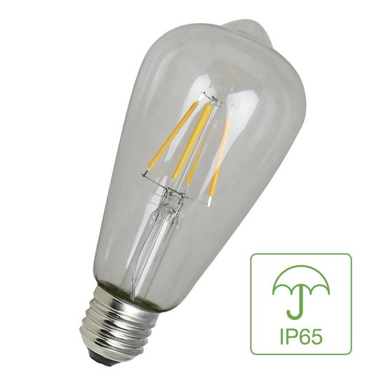 Lampe Bailey Edison à filament LED E27 4W étanche IP65 | bol.com