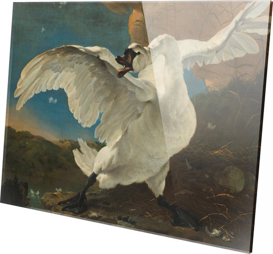 De bedreigde zwaan | Jan Asselijn   | Plexiglas | Wanddecoratie | 90CM x 60CM | Schilderij | Oude meesters | Foto op plexiglas
