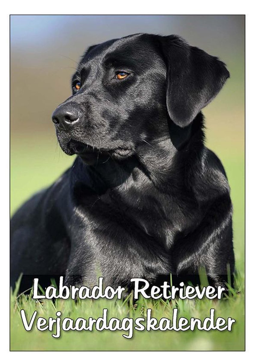 Labrador Retriever Verjaardagskalender