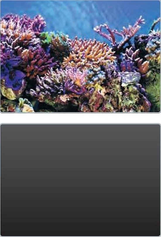 Superfish foto achterwand 2in1 SF Deco Poster A3 100x49cm