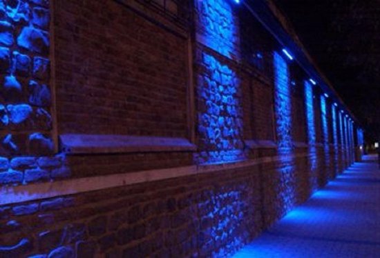 Lèche-mur LED - Éclairage de façade - IP65 - 24w - Bleu | bol.com