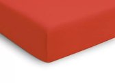 Damai hoeslaken katoen pioenred 140/160x200/210/220
