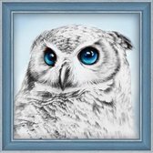 Diamond Painting Uil met Blauwe ogen 25 x 25 cm