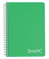 Gallery notitieboek Passion For Colour formaat A6 gelijnd 160 bladzijden geassorteerde kleuren