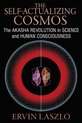 Self-Actualizing Cosmos