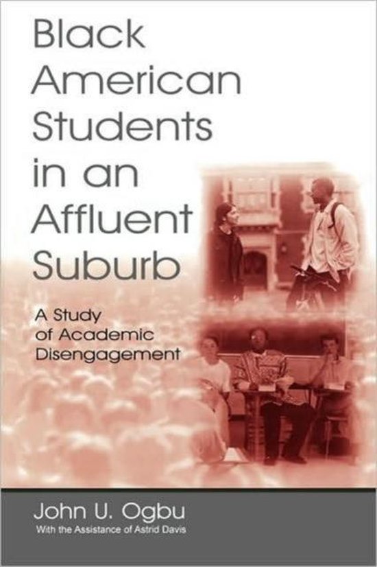 Black American Students in an Affluent Suburb