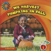 We Harvest Pumpkins in Fall