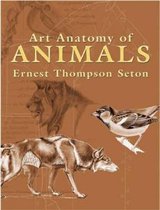 Art Anatomy of Animals