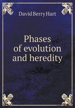Phases of evolution and heredity