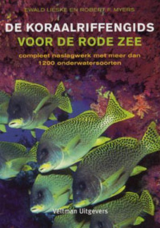 Cover van het boek 'De koraalriffengids voor de Rode Zee' van Rob Myers en Ewald Lieske