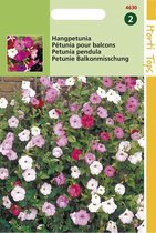 Hortitops - Petunia Pendula Bloemzaad - Gemengd