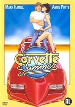 CORVETTE SUMMER /S DVD NL