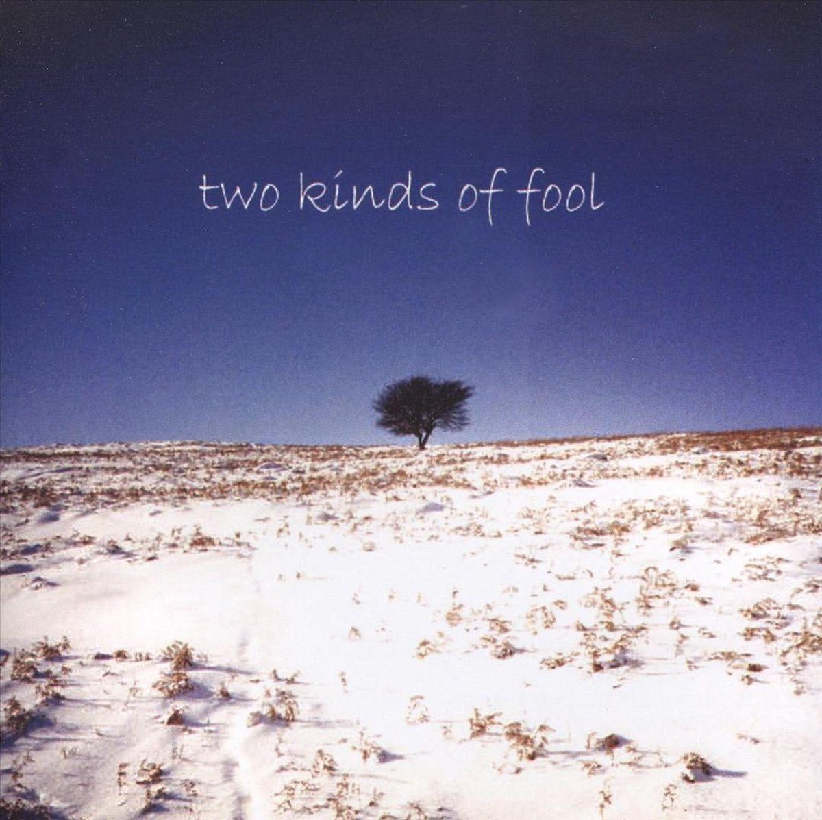 Two kinds of fool