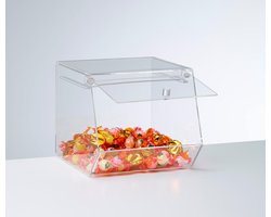 DISPLAYZ Plexi - Vitrinekast - Transparant - Plexiglas