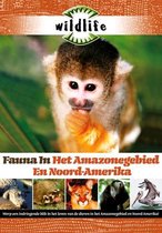 Wildlife - Fauna In Zuid-Amerika