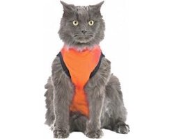 Medical Pet Shirt Kat Oranje - XXS