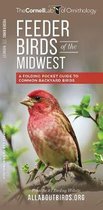 Feeder Birds of the Midwest