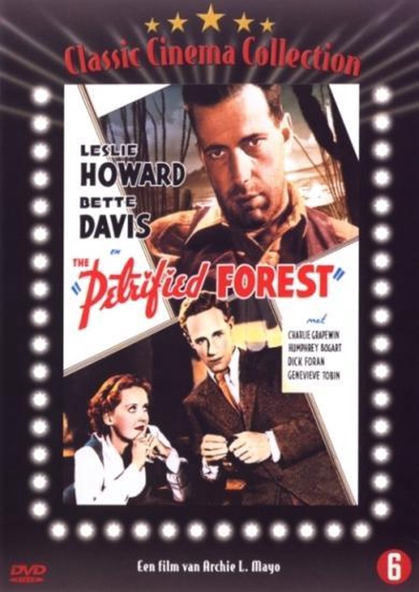 Petrified Forest
