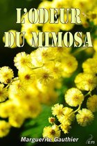 Plumes libellules - L'odeur du mimosa