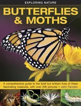 Exploring Nature Butterflies & Moths