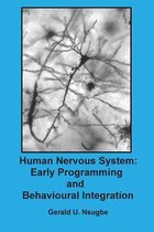 Human Nervous System