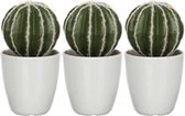 3 x Groene Echinocactussen/bolcactussen kunstplanten 28 cm in witte plastic pot - Kunstplanten/nepplanten