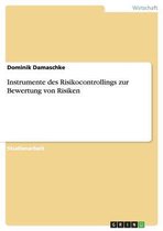Instrumente Des Risikocontrollings Zur Bewertung Von Risiken