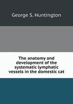 The anatomy and development of the systematic lymphatic vessels in the domestic cat