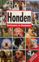 Honden herkennen en benoemen