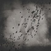 Brume/Witch Ripper - Split (LP)