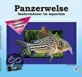 Mein Panzerwels