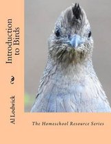 Introduction to Birds