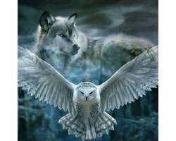SEOS Shop ® Diamond Painting Volwassenen - Diamond Painting Kinderen - Diamond Painting Pakket Volledig - Witte Uil met Wolf - 40x40cm