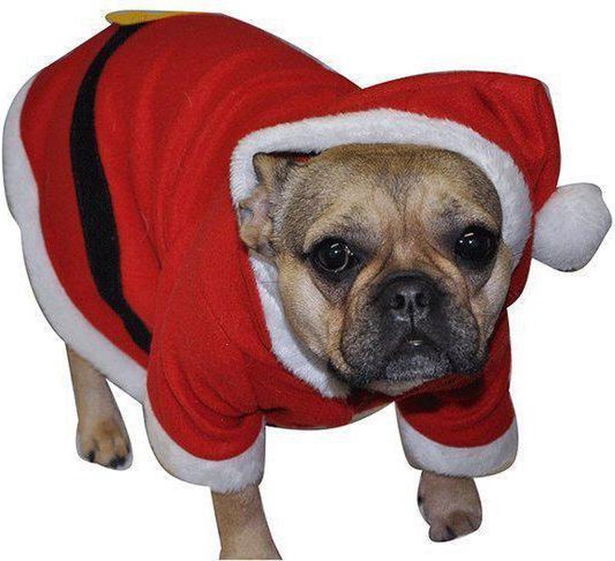 halen Hubert Hudson Van hen Honden kerst pakje | bol.com