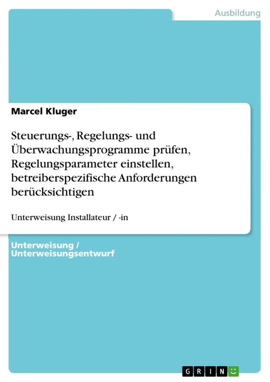 Steuerungs-, Regelungs- und Überwachungsprogramme prüfen,  ... - cover