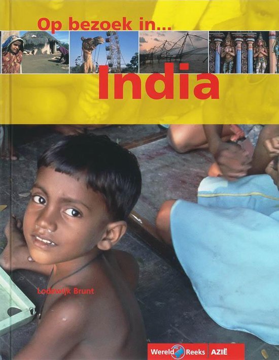 Cover van het boek 'India' van Lodewijk Brunt