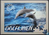 Leren met Puzzels: Dolfijnen