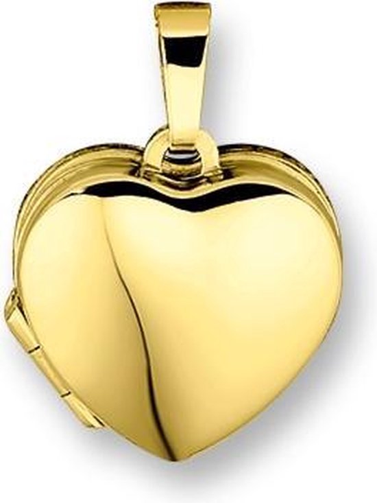 liter plaag cursief Trendjuwelier huiscollectie 4015745 Gouden medaillon hart | bol.com