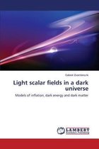 Light Scalar Fields in a Dark Universe