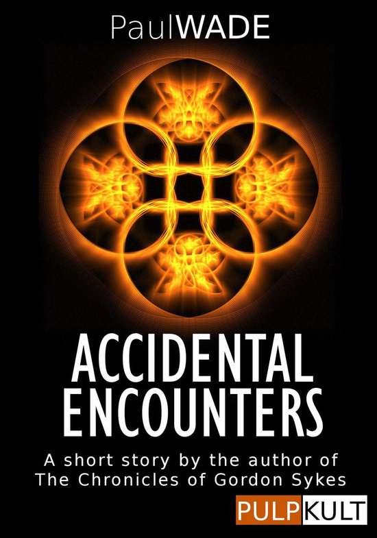 Accidental Encounters - cover