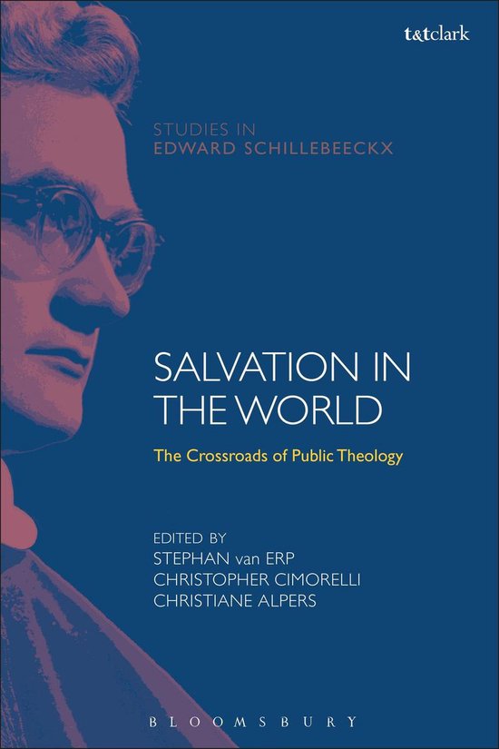 T&T Clark Studies in Edward Schillebeeckx - Salvation in the World